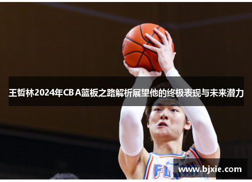王哲林2024年CBA篮板之路解析展望他的终极表现与未来潜力