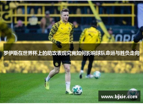 罗伊斯在世界杯上的助攻表现究竟如何影响球队命运与胜负走向