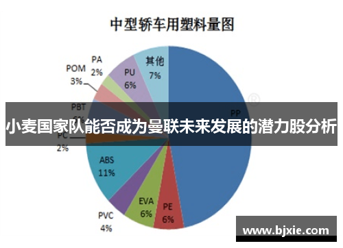 小麦国家队能否成为曼联未来发展的潜力股分析