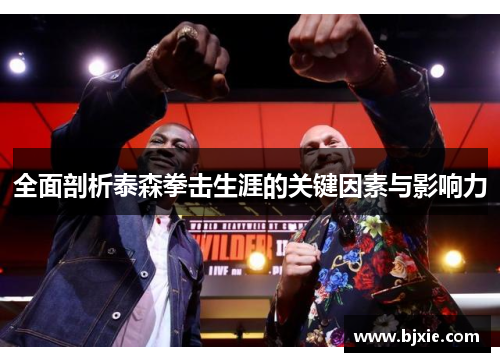 全面剖析泰森拳击生涯的关键因素与影响力