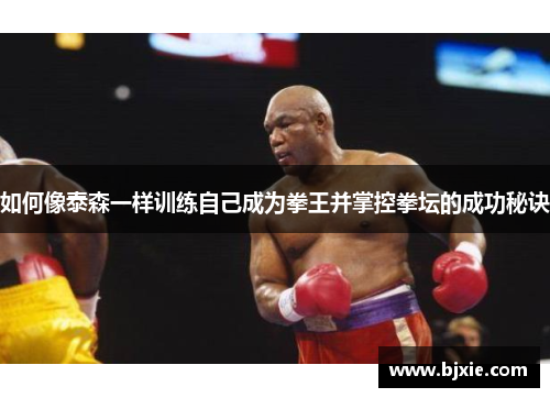 如何像泰森一样训练自己成为拳王并掌控拳坛的成功秘诀