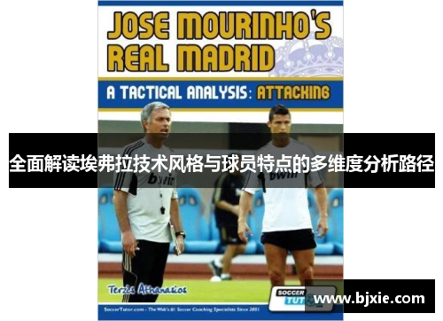 全面解读埃弗拉技术风格与球员特点的多维度分析路径