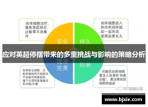 应对英超停摆带来的多重挑战与影响的策略分析