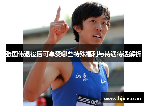 张国伟退役后可享受哪些特殊福利与待遇待遇解析 张国伟退役后可享受哪些特殊福利与待遇待遇解析