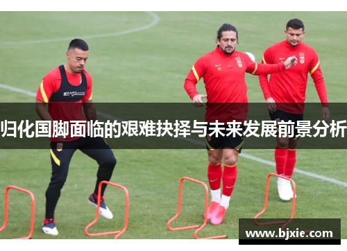 归化国脚面临的艰难抉择与未来发展前景分析 归化国脚面临的艰难抉择与未来发展前景分析